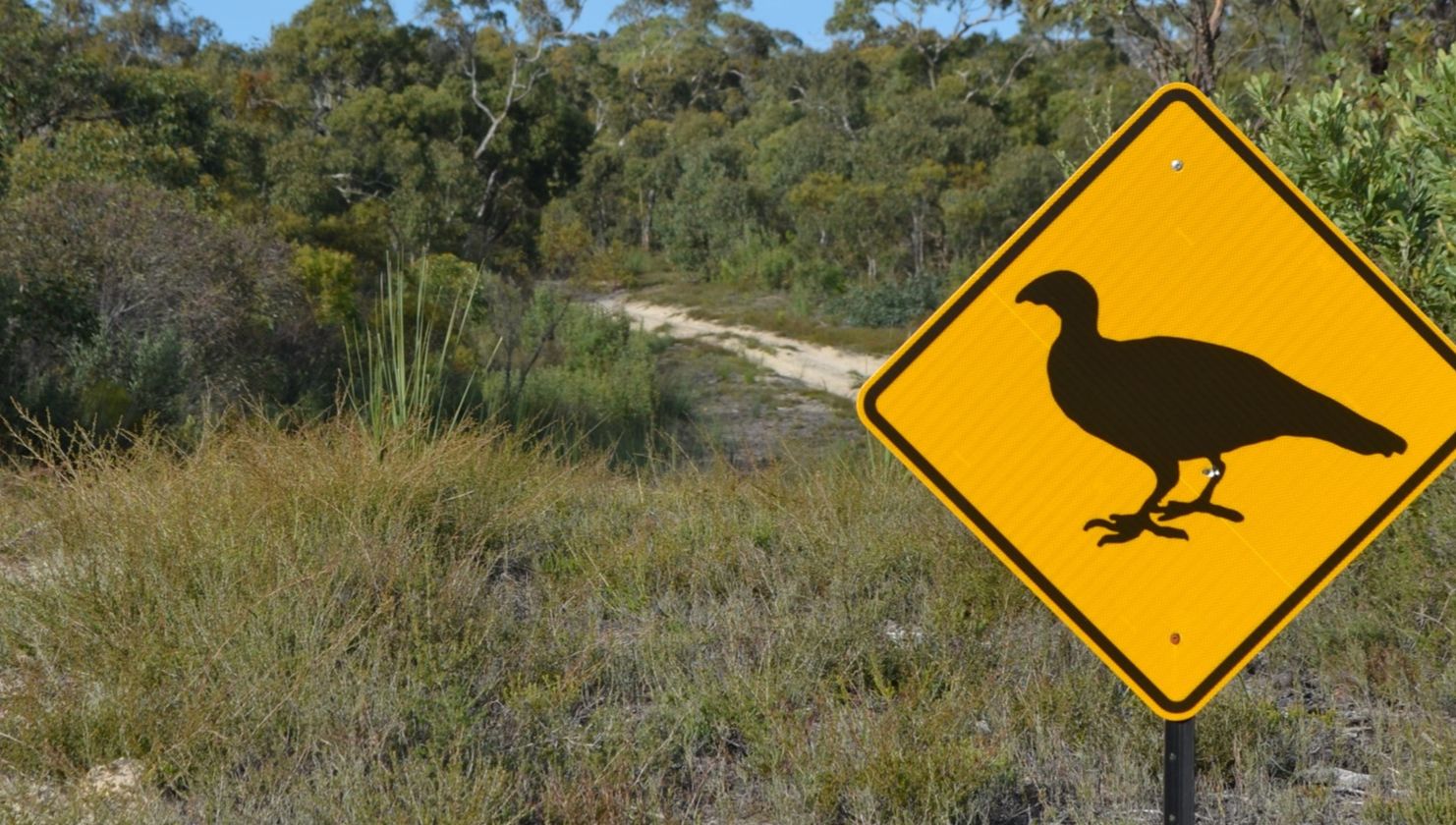 NLP3 Partner Consultation EOI Natural Heritage Trust Partnership