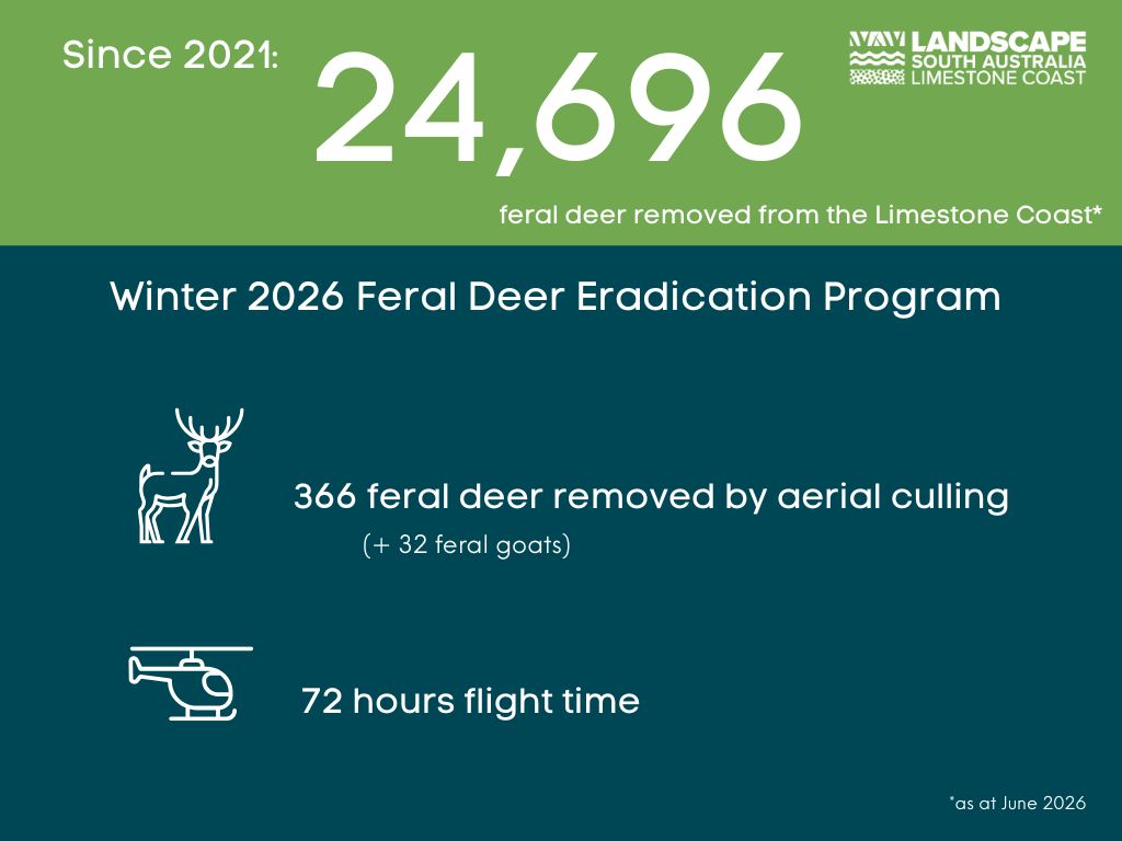 Winter 2026 feral deer statistics