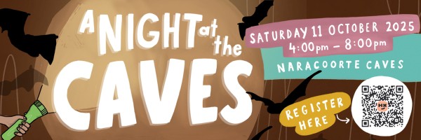 A Night at the Caves banner